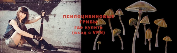 прущие крисы Алексеевка