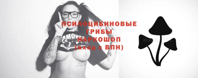 прущие крисы Алексеевка