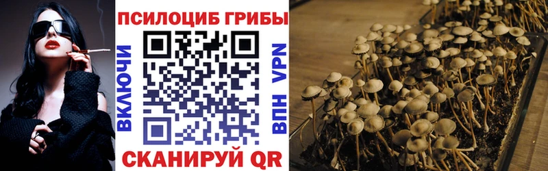Псилоцибиновые грибы прущие грибы  Динская 